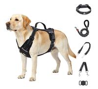 IEUUMLER No Pull Dog Harness, Reflective Front Clip Vest with Leash,Safety Belt and Backup Safety Strap, Adjustable Easy Control Handle,Air Tag Dog Collar for Small Medium Large Dogs EU021 (Black, XS)