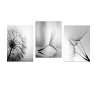 IEUUUB Black White Dandelion Flower Wall Art Prints And Poster Nordic Living Room Wall Art Decorative Canvas Paintings for Home Decor 20x30cm(8x12in) x3 with frame