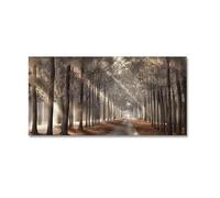 IEUUUB Scandinavian Sunshine Shadow Trees Canvas Painting Poster Landscape Forest Path Wall Art Pictures Prints For Home Decor 65x135cm(26x52in) with frame