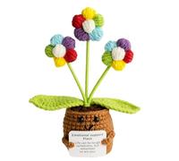 iewrtcin Emotional Support Crochet Positivity Gifts,Multicolor Crochet Flower Pot Plant,Handmade Crochet Emotional Support Plant Suitable for Gifts for Boys and Girls,Office Decoration,Room Decoration