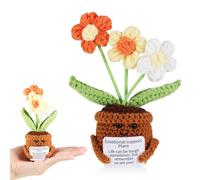 iewrtcin Emotional Support Crochet Thank You Gift,Crochet Flower Pot Plant,Handmade Crochet Emotional Support Plant Suitable for Gifts for Boys and Girls,Thank You Teacher Gifts