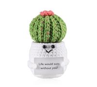 iewrtcin Funny Positive Plants Cactus, 4.3in Crochet Plush Worry Dolls With Cheer Up Card, Cute Wool Knitted Emotional Support Encouragement Gift for Adults Kids Rooms Office Desktop Decoration