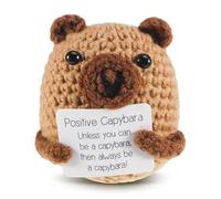 iewrtcin Handmade Crochet Capybara Decor, Thank You Gifts for Women Men, Hand Knitted Capybara Birthday for Women, Teacher Appreciation, Mothers Day, Graduation