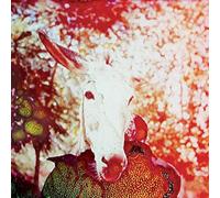 If He Dies If If If If If If - Jerusalem In My Heart CD-JEWEL CASE