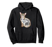 If I Act Crazy It’s Because I Own an Aby Pullover Hoodie