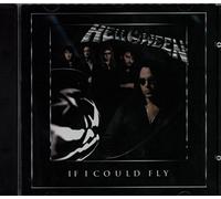 If I Could Fly