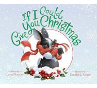 If I Could Give You Christmas