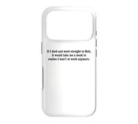 If I Died And Went To Hell...Funny Sarcastic Work Humor Pun Case for iPhone 17 Pro