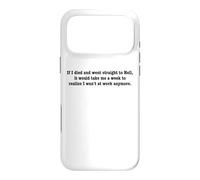 If I Died And Went To Hell...Funny Sarcastic Work Humor Pun Case for iPhone 17 Pro Max