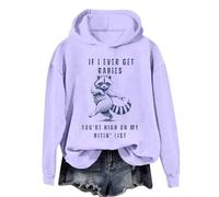 If I Ever Get Rabies You're High On My Bitin List Hoodie, Funny Raccoon Sweatshirt Biting List Shirt Unisex Tops