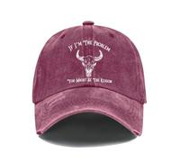 If I'm The Problem You Might Be The Reason Hat Baseball Cap