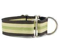 If It Barks 1.5" Martingale Collar for Dogs, Adjustable Nylon, Made in USA,Key Lime Pie,Small (11" - 15")