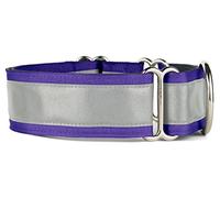 If It Barks 1.5" Reflective Martingale Collar for Dogs, Adjustable, Made in USA, Small, Purple