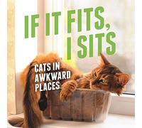 If It Fits, I Sits: Cats in Awkward Places