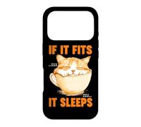 IF IT FITS IT SLEEPS Case for iPhone 17 Pro