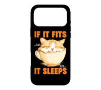 IF IT FITS IT SLEEPS Case for iPhone 17 Pro Max