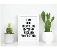 If My Dog Doesn't Like You I Probably Won't Either Inspirational Quote in Frame 60 SECOND MAKEOVER White One Size