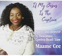 If My Jesus Is The Captain
