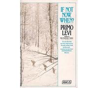 If not Now, when? (Abacus Books)