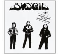 If Swallowed Do Not Induce Vomiting by BUDGIE (2012-04-24)