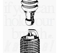 If You Can Hold Your Breath [VINYL]