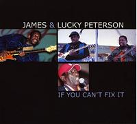 If You Can't Fix It