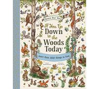 If You Go Down to the Woods Today: A Search and Find Adventure (Brown Bear Wood)