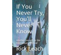 If You Never Try, You'll Never Know: Another journey to the Glastonbury Festival