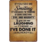 If You See Me Smiling It Is Evil Naughty Plans Metal Sign 8 X 12 in