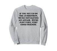 If You See Us On the Jumbotron - Funny Viral Concert Affair Sweatshirt