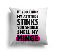 If You Think My Attitude Stinks You Should Smell My Minge Cushion - Rude Funny Adult Humour Pillow - Custom Background Colour - Choice of Premium Fabrics - Cheeky Novelty Gift for Friends or Her