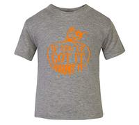 If You’ve Got It Haunt It Halloween Statement Short Sleeve Cotton Toddler t Shirt, 3-4 Years, Grey