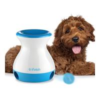 iFetch Frenzy, Mini