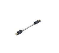 iFi Audio GO Link 2 Portable DAC & Headphone Amplifier