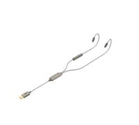 iFi GO Cable USB-C DAC Headphone Amplifier 0.78mm 2-Pin IEM | Hi-Res 32-bit/384kHz PCM & Native DSD256, ESS Sabre DAC, Dynamic Range Enhancement, Silver-Plated Cable with Mic & Controls