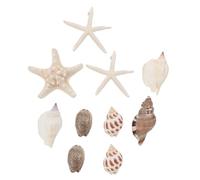 ifundom 10pcs Ocean Seashell Refrigerator Magnets Shell Material Natural Style Assorted Color 3d Shape Magnetic Decoration for Dryer and Washing Machines Random Style
