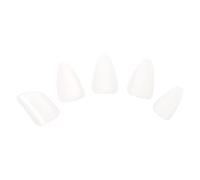 ifundom 15pcs Pipa Accessories Pipa Nails String Instrument Picks Pain Playing Experience