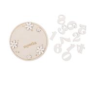 ifundom 1set Wooden Milestone Discs Charming Nursery Photo Props for Newborn Growth Journey Monthly Milestone Markers Daisy Design Keepsake for First Year