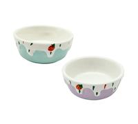 ifundom 2pcs Ceramic Small Pet Bowls Smooth Surface Easy Clean Hamster Feeder Containers for Guinea Pig Rabbit Rodent Food Dish