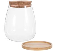 ifundom 2pcs Large Glass Hydroponic Plant Jars with Cork Lid and Bamboo Stand - Water Propagation Station for Indoor Gardening, Desktop Hydroponics Vase Set for Plant Growth and Home Decor