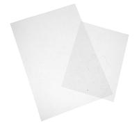 ifundom 2Pcs Pre-Cut Peony Floral Shrinky Plastic Sheets, Semi- Heat Moldable Sheets for DIY Hairpin Embellishment and Flower Craft Accessories