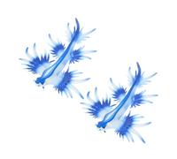 ifundom 2pcs Realistic Sea Slug Model Mini Animals Plastic Ocean Creature Figurines with Lifelike Texture for Educational Display and Desk Decor