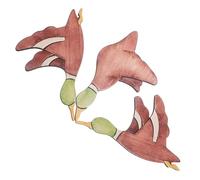 ifundom 3pcs Flying Bird Wall Decors Wood Bird Wall Decor Rustic Vintage Artistic Wall-mounted Easy Installation for Shops and Bedrooms