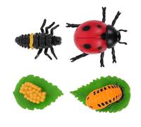 ifundom 4pcs Ladybug Growth Cycle Figurines Educational Biology Toy for Kids Realistic Life Cycle Models for Classroom Learning and Home Decoration