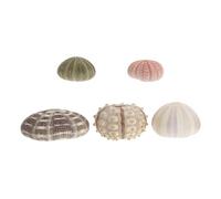 ifundom 5Pcs Natural Sea Urchin Shells for Aquarium Ornament and Craft Shell Decoration with Assorted Sizes Suitable for Tropical Fish Tank Random Color