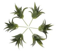 ifundom 6pcs Indoor Artificial Succulent Plants Set Realistic Green Pvc Material, Never Wither and Save Maintenance Time, for Home Decor or Party Table Decorations