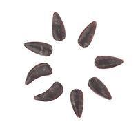 ifundom 8pcs Guzheng Fake Nails Professional Playing Level Ergonomic Curve Design Guzheng Practice Accessories French Tip False Nails