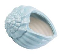 ifundom Ceramic Planting Container Blue Conch Shell Shape Indoor Flower Pot for Succulents and Small Plants Environmentally Friendly Material