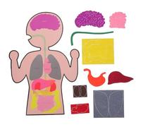 ifundom Cognitive Organs Toy Diy Teaching Aid Human Body Model Educational Organ Plaything for Kids Learning Anatomy and Building Body Parts