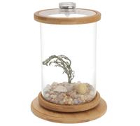 ifundom Decorative Transparent Fish Aquarium Tank with LED Light Tempered Glass Eco Bottle Micro Landscape Bowl for Desktop Office Creative Fish Bowl for Home Display and